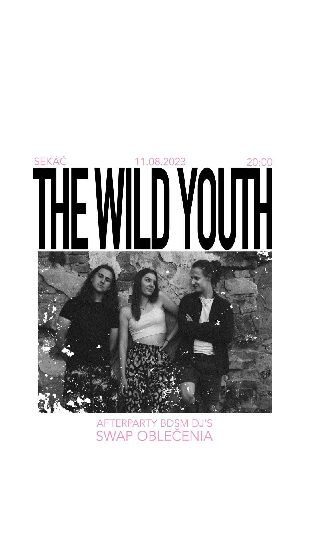 Koncert The Wild Youth - Afterka BDSM DJ'S.